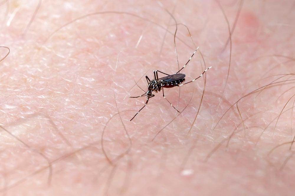 Dengue e Hidratação: Uma abordagem vital no tratamento e recuperação - Acqualive