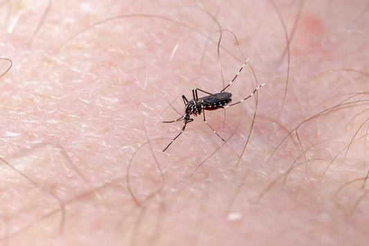 Dengue e Hidratação: Uma abordagem vital no tratamento e recuperação